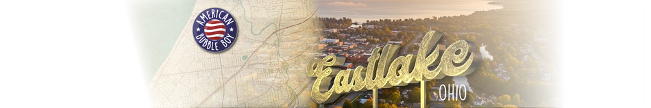 Local - American Bubble Boy 10